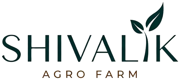 Shivalik Agro Farm